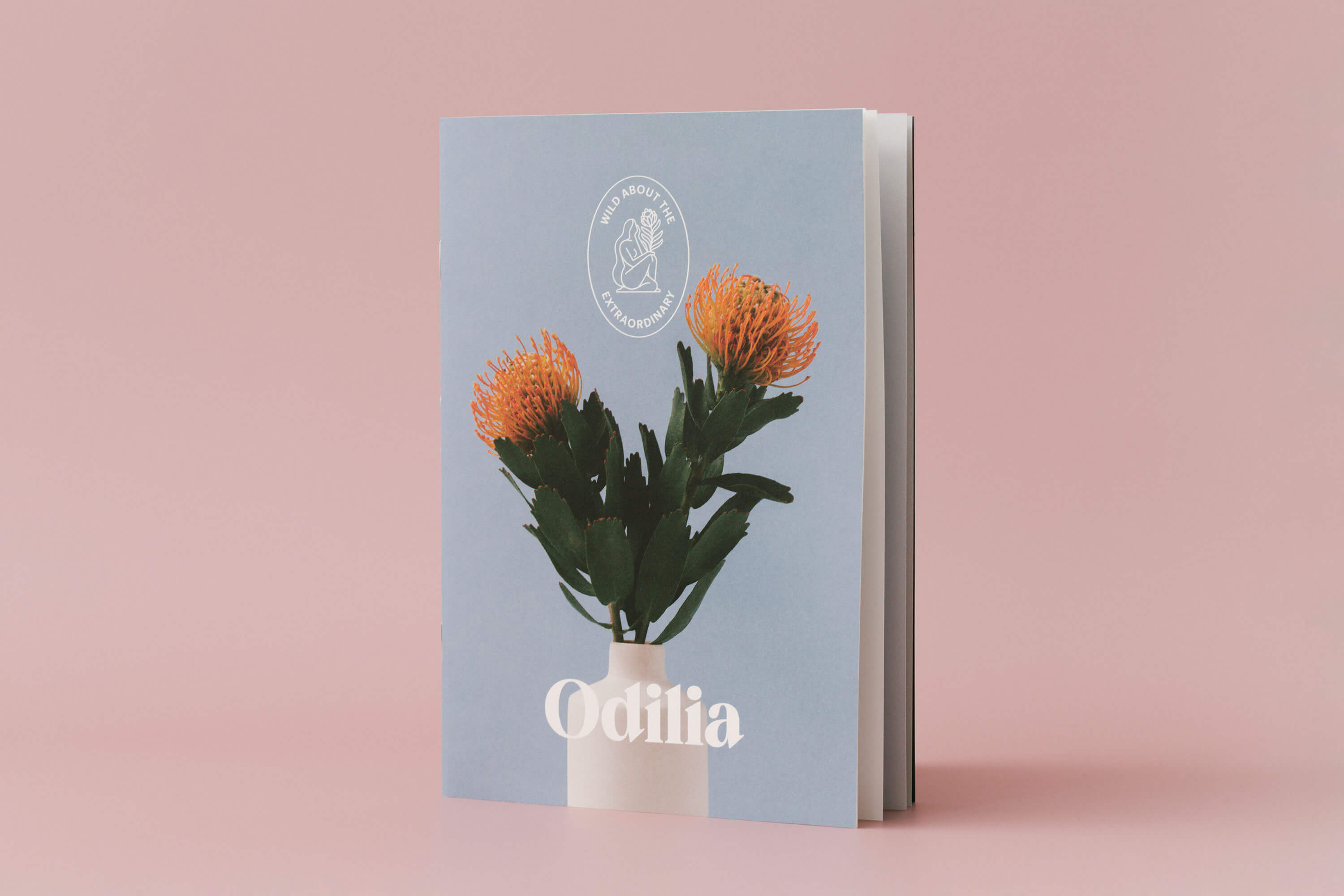 odilia-booklet-closed
